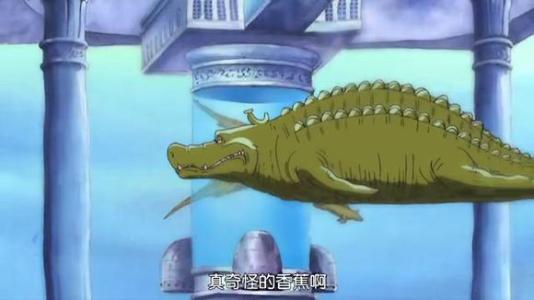 香蕉鳄鱼