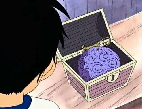 橡胶果实