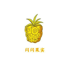 闪闪果实