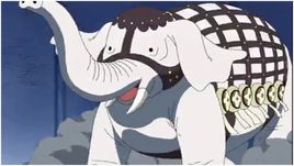象象果实