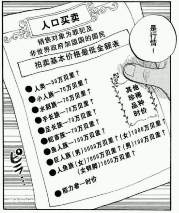 种族拍卖价格表