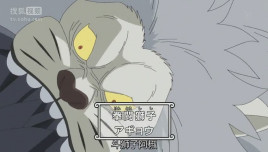 阿椒